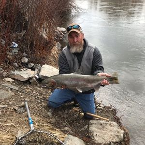 Meet your Posher, Lance